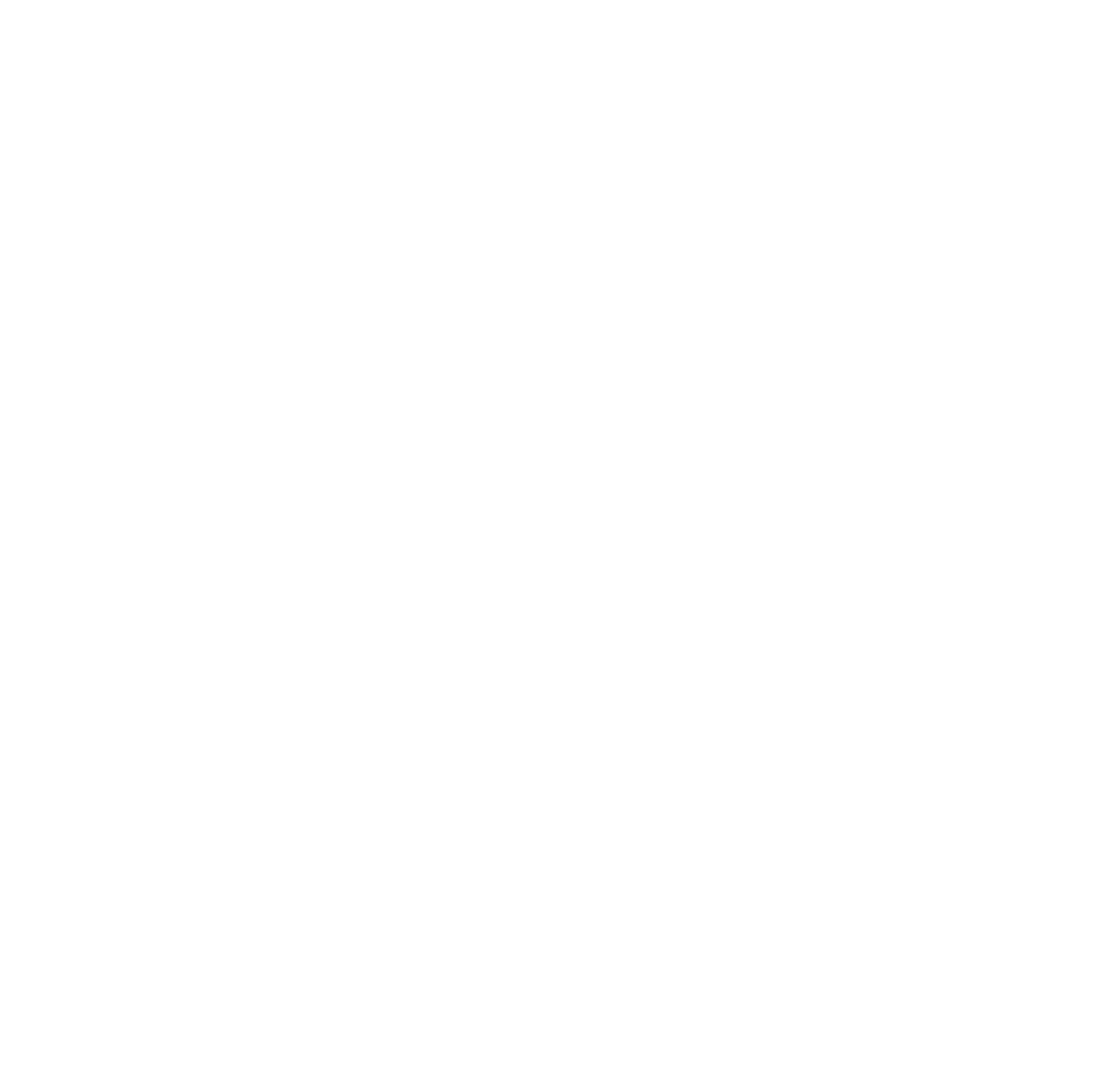 The 2 Mortgage Guys logo