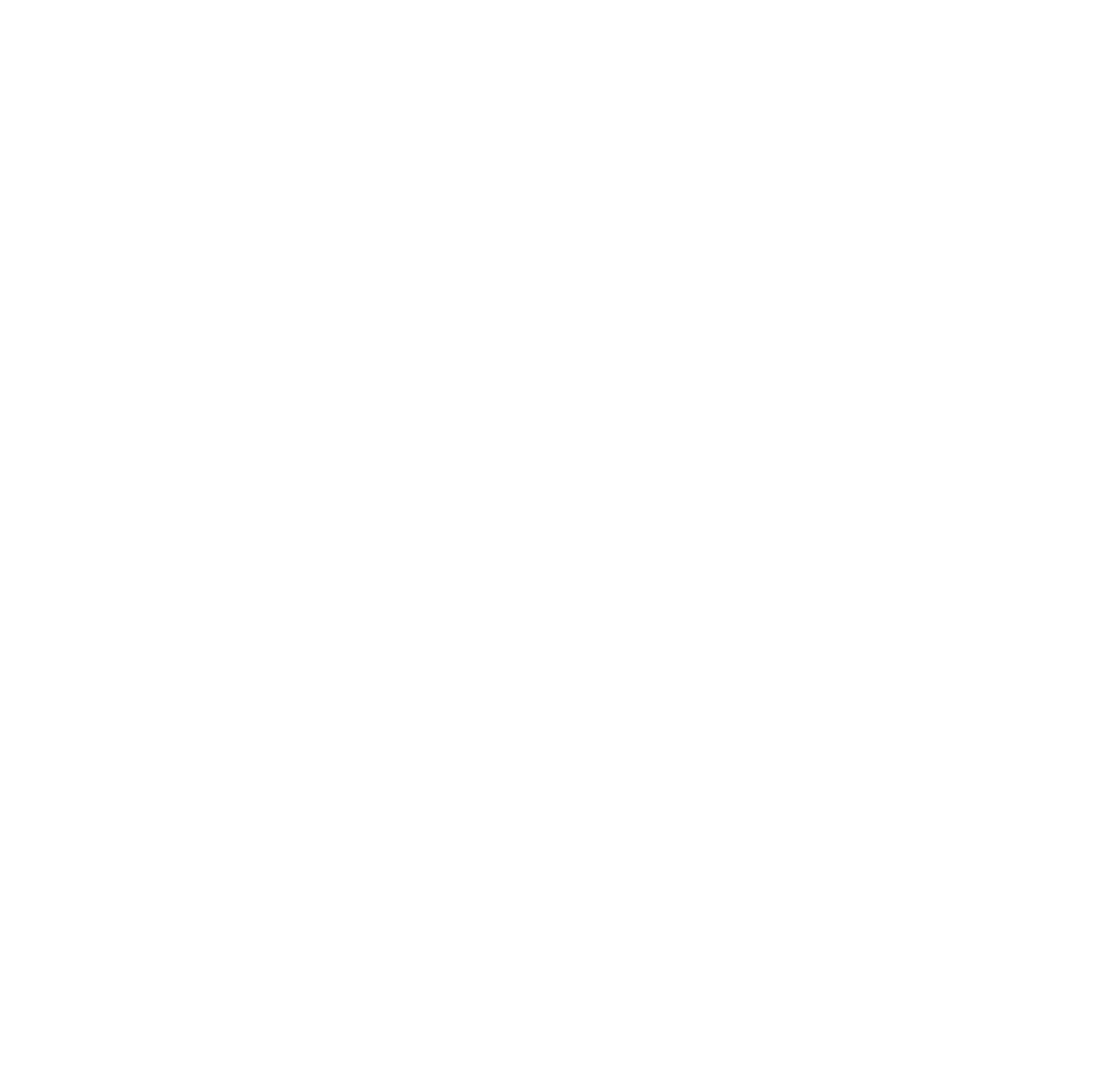 The 2 Mortgage Guys logo